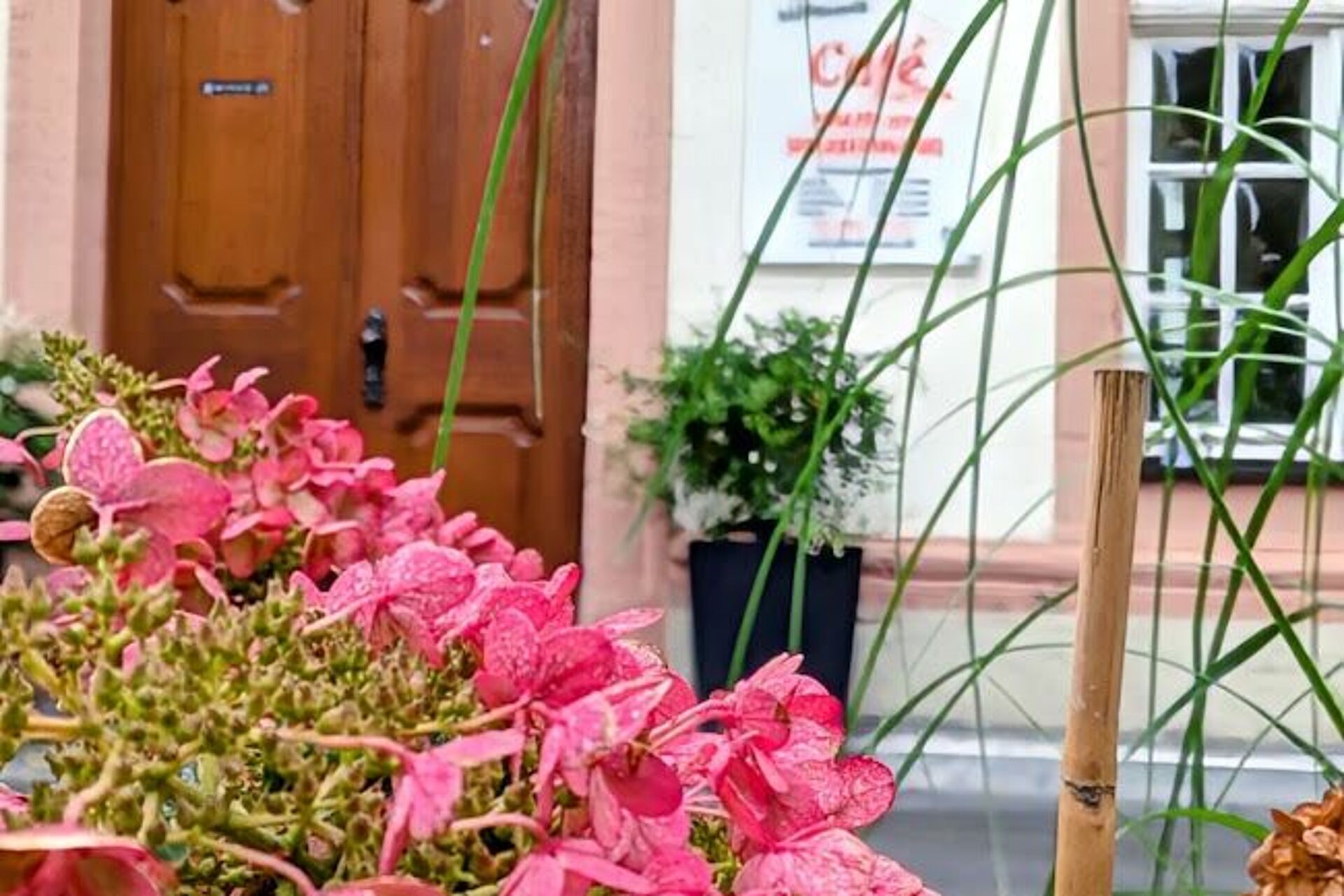 Blumen im Vordergrund, Eingang Haus der Begegnung im Hintergrund